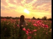 พาเที่ยว จิมทอมสัน ฟาร์ม 2557 (Jim Thompson Farm) สวนดอกไม้สวยๆ ปักธงชัย นครราชสีมา 
