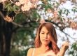 พาไปดูชมพูพันธุ์ทิพย์ที่สวนรถไฟ บรรยากาศดีๆ ชมพูฟรุ้งฟริ้งเต็มสวน กรุงเทพมหานคร